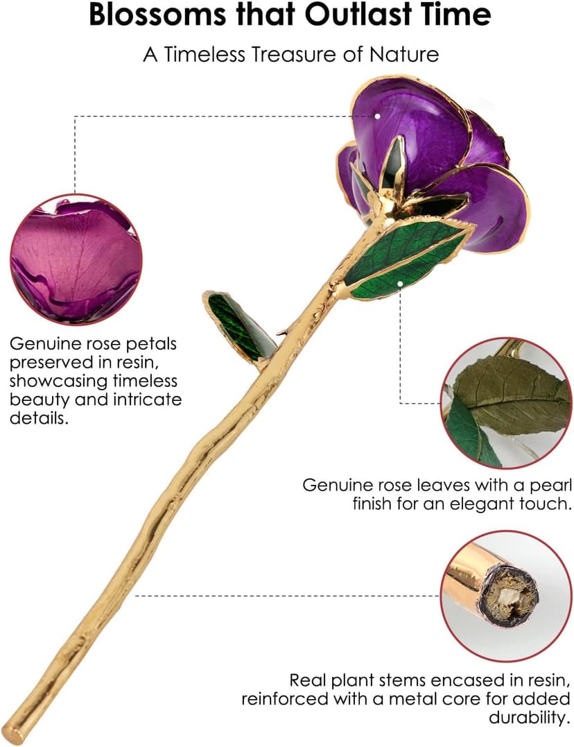 Handpicked real rose dipped in 24K gold; a one-of-a-kind keepsake for women on Valentine’s Day, Mother’s Day & anniversaries 24K Gold Dipped Real Rose, Forever Flower, Purple B0F93N2SKX