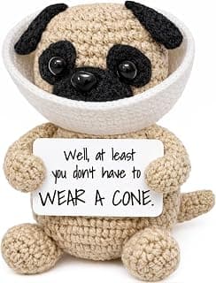 Funny Get Well Soon Gift – Surgery Recovery & Feel Better Gift for Women Men, Cute Encouragement Desk Decor for Friend Coworker Her Him B0GZ3Y9FJP