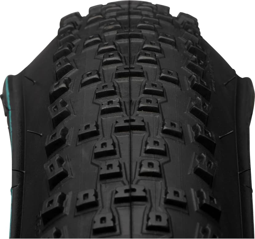 Blackburn Mountian Bike Tires