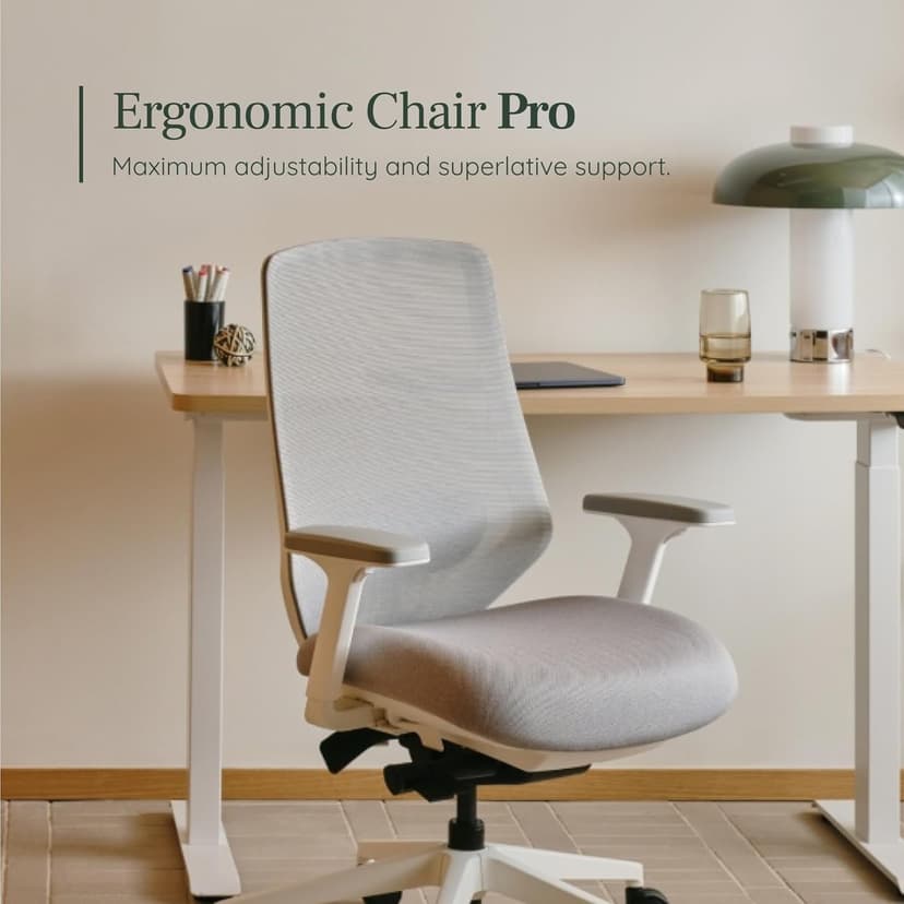 Branch Ergonomic Chair Pro - Mesh Office Chair with 14 Points of Adjustment - Height, Depth & Tilt Adjustable - 5D Armrests - Forward Tilt, Smooth Recline, and Lumbar Support - Black