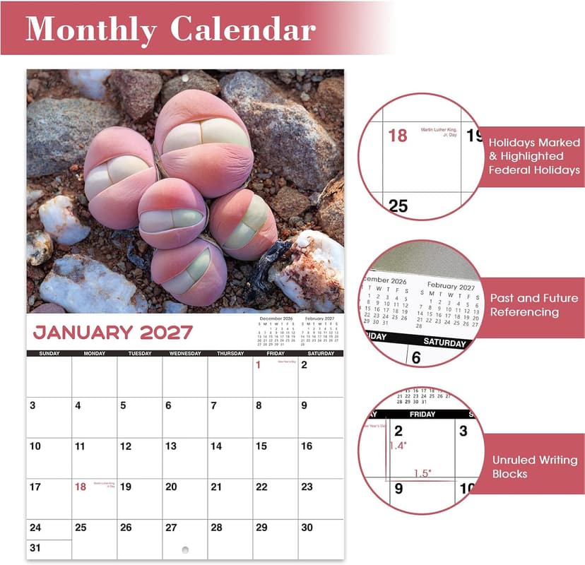 Gag Gifts - White Elephant Gag Gifts Calendar 2027, Nature Butts Calendar 2027 from January to December, 11'' x 8.5'', Gag Gift for White Elephant B0D9GBGSMZ