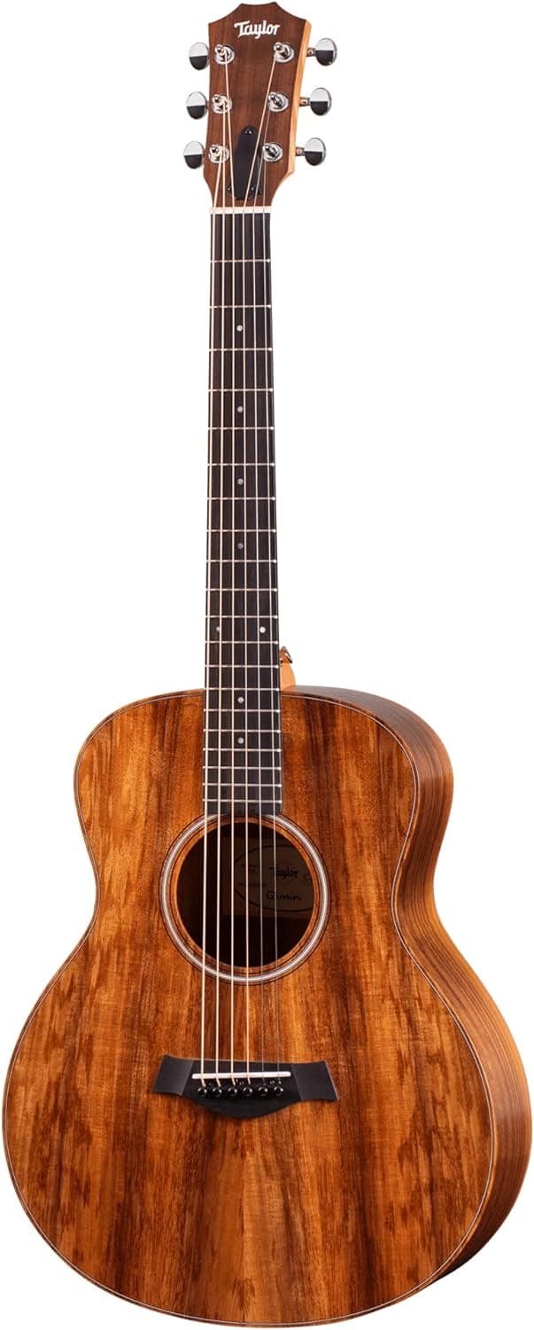Taylor GS Mini-e Solid Koa Top ESB w/Gig Bag with case