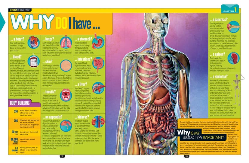 National Geographic Kids Why?: Over 1,111 Answers to Everything (NGK Why?)