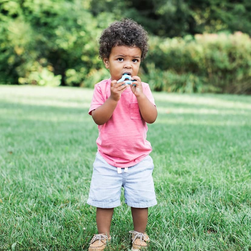 Green Sprouts Silicone Molar Teether, 12mo+, Platinum-Cured Silicone, Sterilizer Safe, Tested for Hormones - Light Blueberry