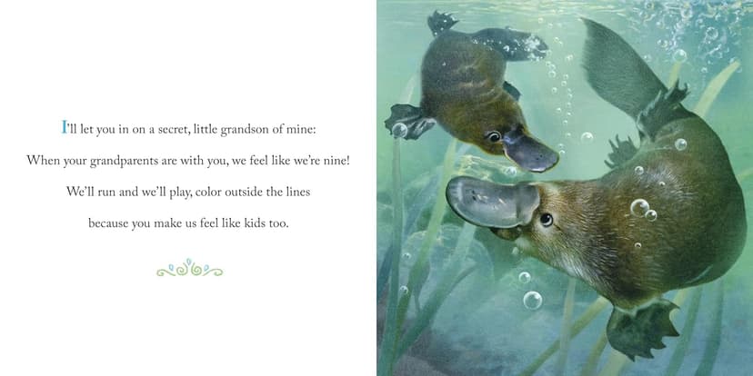 Why We Need Grandsons: Celebrate Your Special Grandson Grandparent Bond with This Heartwarming Picture Book! (Always in My Heart)