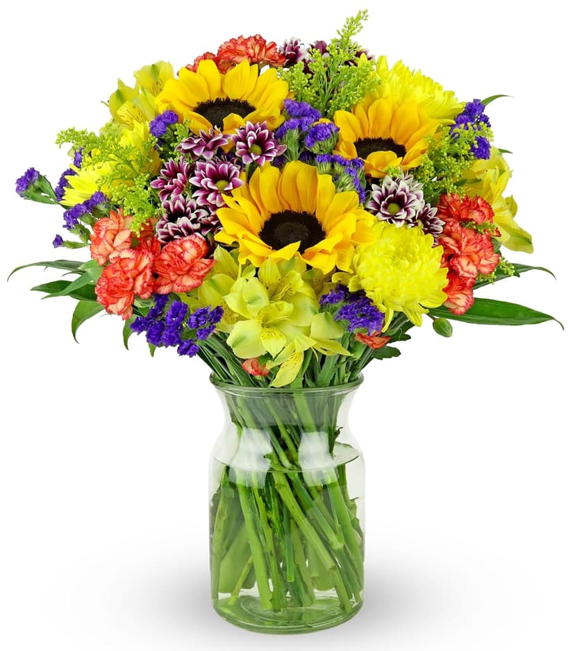 Benchmark Bouquets - Flowering Fields (Glass Vase Included) - Fresh Flowers for Delivery - Gift for Birthday, Anniversary, Sympathy, Get Well, Congratulations, Thanksgiving, Christmas