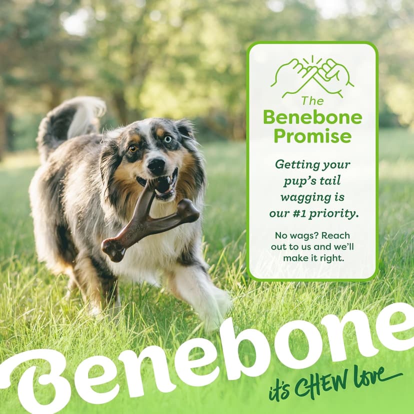 Durable, Super Chewer, Made in USA, Dog Bones, Long-Lasting, A Size for Every Dog, Keeps Them Busy Benebone Wishbone Dog Chew Toy for Aggressive Chewers, Real Bacon, Medium B00CPDWT2M