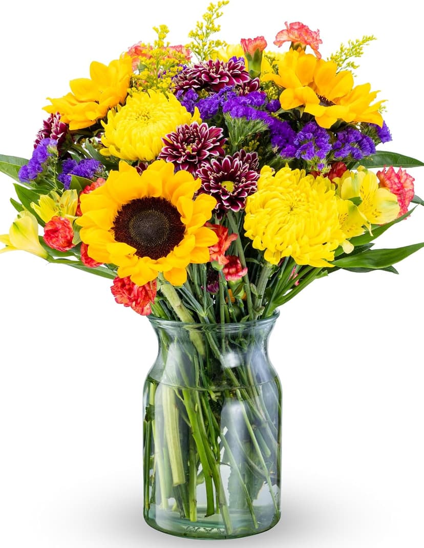 Benchmark Bouquets - Flowering Fields (Glass Vase Included) - Fresh Flowers for Delivery - Gift for Birthday, Anniversary, Sympathy, Get Well, Congratulations, Thanksgiving, Christmas