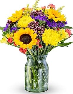 Benchmark Bouquets - Flowering Fields (Glass Vase Included) - Fresh Flowers for Delivery - Gift for Birthday, Anniversary, Sympathy, Get Well, Congratulations, Thanksgiving, Christmas