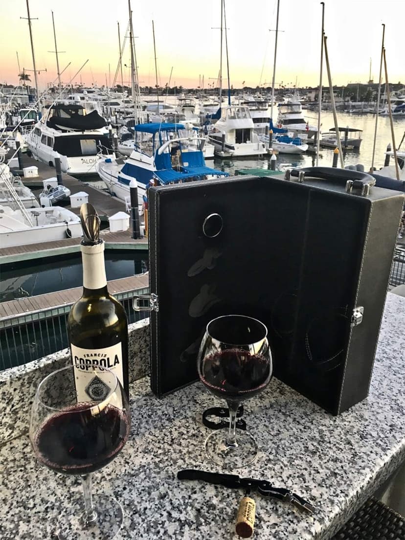 Lifestyle Top Handle Travel Two-Bottle Wine Carrier Case with 4 Piece Wine Accessory Set (Brown)