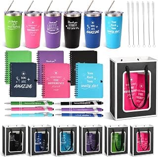 6 Set/36 Pcs Teacher Employee Appreciation Gifts Bulk - 20 Oz Insulated Tumblers, Steel Straw & Cleaner, Gift Bag, Inspirational Notebook, Motivational Pen - Thank You Gift for Coworker, Nurses B0GVYGNVQM