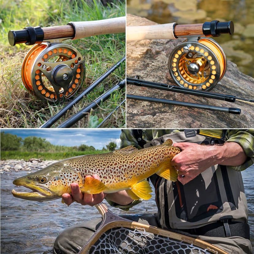 Sougayilang Fly Fishing Reel Large Arbor 2+1 BB with CNC-machined Aluminum Alloy Body and Spool in Fly Reel