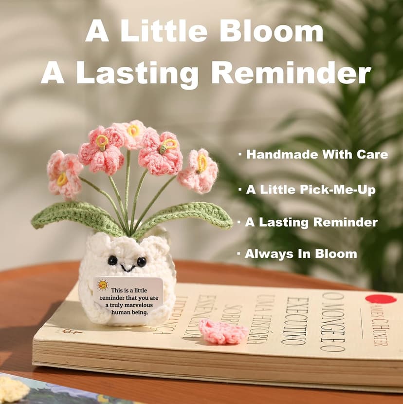 Christmas, Thank You & Encouragement Gifts for Women, Boss, Her, Friend, Sister & Bestie, Stocking Stuffers, 4.7 x 2.4 in Crochet Forget Me Not Flower Pot, Inspirational & Unique Gifts for Women B0GM8H2G47