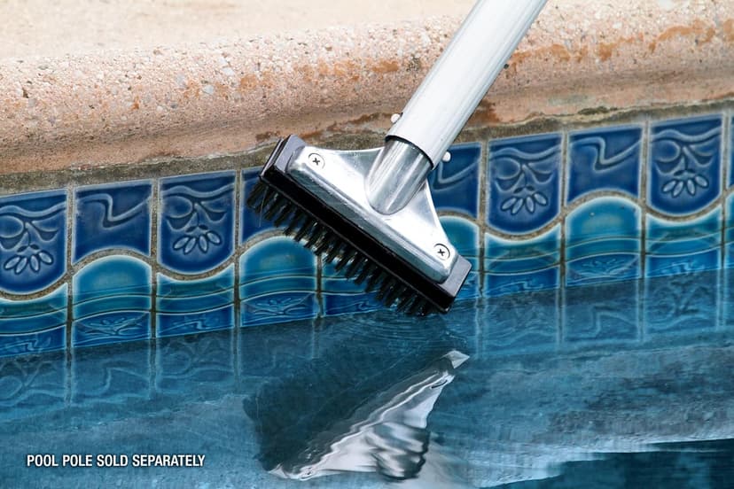 Poolmaster 20178 5-Inch Aluminum-Back Swimming Pool Algae Brush with Stainless Steel Bristles, Classic Collection