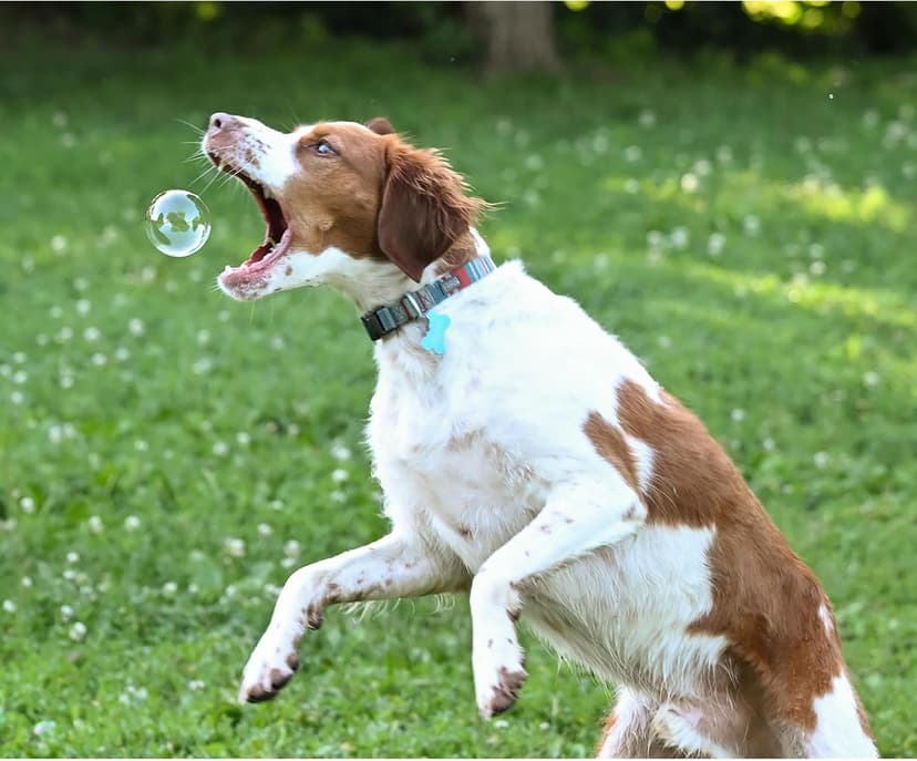 Puppy Love Bubbles, Peanut Butter & Bacon Scented Bubbles 4oz. Bottle-2 Pack Combo (1 Peanut Butter/1 Bacon) for Dogs B0913CYKF2