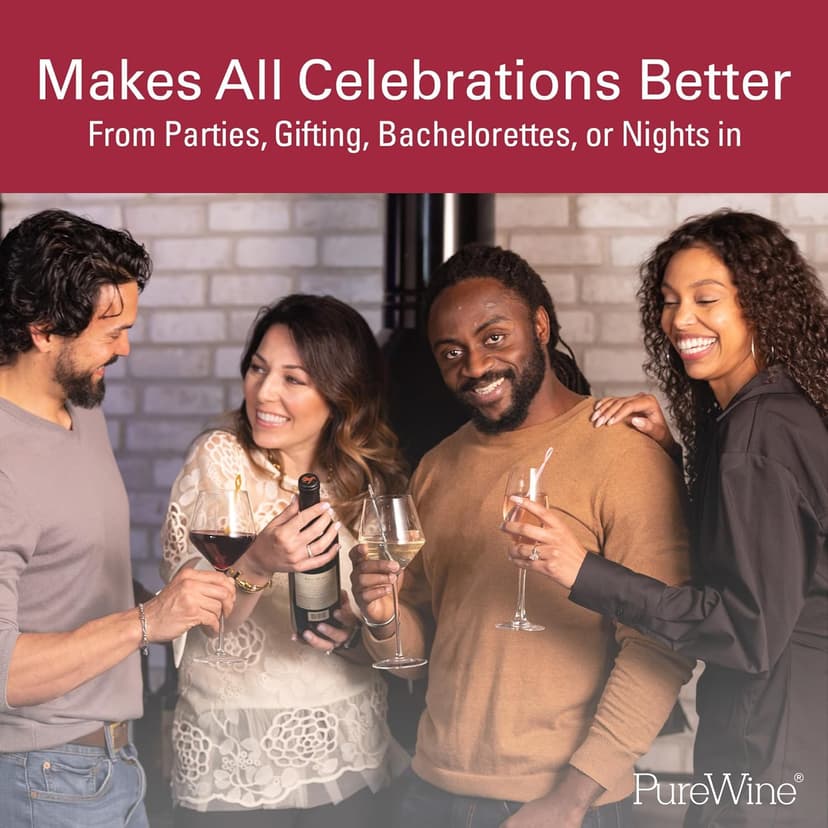 PureWine The Wand Wine Purifier - Red & White Wine Filters for Histamines & Sulfites, Sulfite Remover Sticks, Helps Allergies & Headaches, Gift Accessories for Women & Men - 8 Wands, Silver