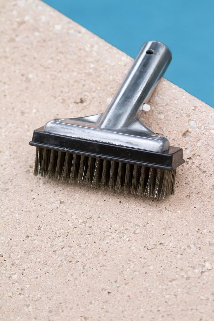 Poolmaster 20178 5-Inch Aluminum-Back Swimming Pool Algae Brush with Stainless Steel Bristles, Classic Collection