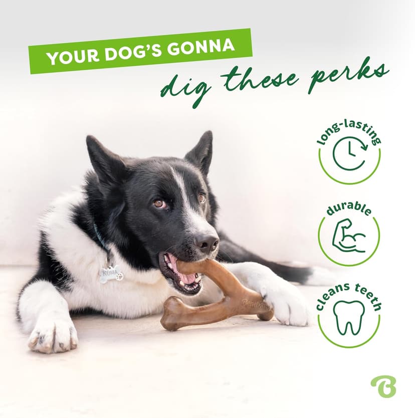 Durable, Super Chewer, Made in USA, Dog Bones, Long-Lasting, A Size for Every Dog, Keeps Them Busy Benebone Wishbone Dog Chew Toy for Aggressive Chewers, Real Bacon, Medium B00CPDWT2M