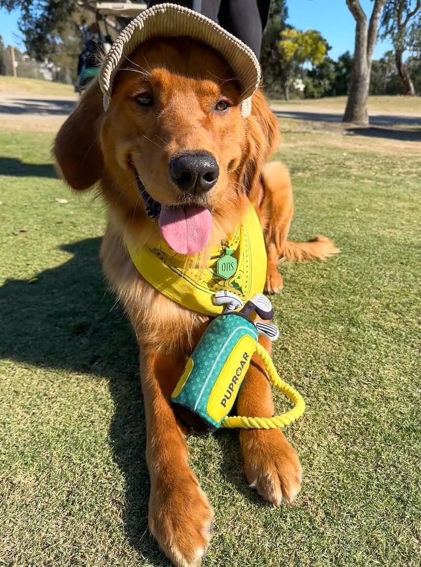 PUPROAR Golf Dog Toy, Dog Birthday Gift, Funny Squeaky Plush Rope Golf Bag Toy for Small, Medium & Large Breeds B0D9PDDT2D