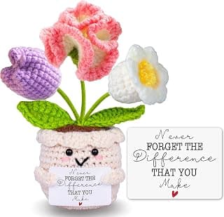 Teacher Appreciation Gifts, Thank You Teachers Gift, End of Year Teacher Gifts, Graduation Birthday Retirement Gift for Teachers Mentor Coworker Boss, Cute Handmade Crochet Carnations 3 Flowers Doll B0GCCQNDDQ