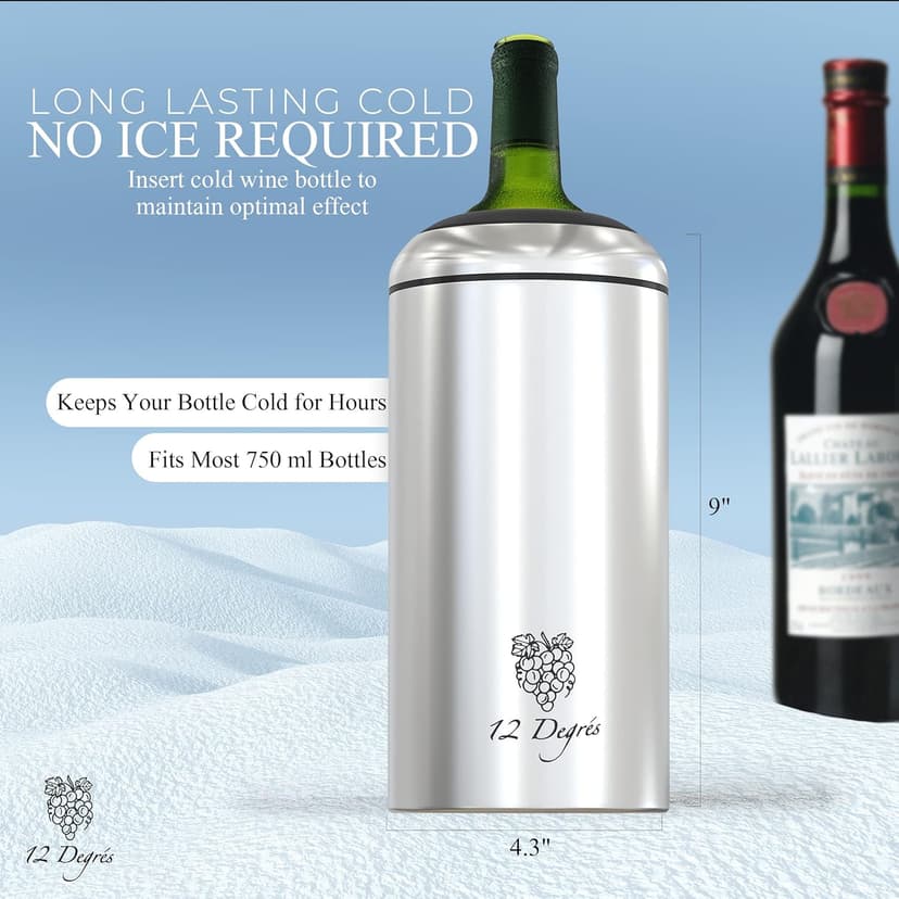 Wine Chiller Set - Perfect Wine Gifts for Women & Men - Stainless Steel Insulated Wine Cooler with Wine Pump, Aerator & 4 Stoppers (Silver)