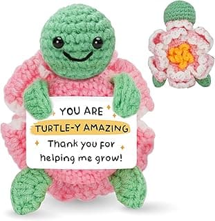 HEXMOZ Christmas Teachers Gifts for Women, Daycare, Preschool, Kindergarten - Thank You for Helping Me Grow Appreciation Gift Ideas - Cute Handmade Turtle Crochet Emotional Support with Positive Card