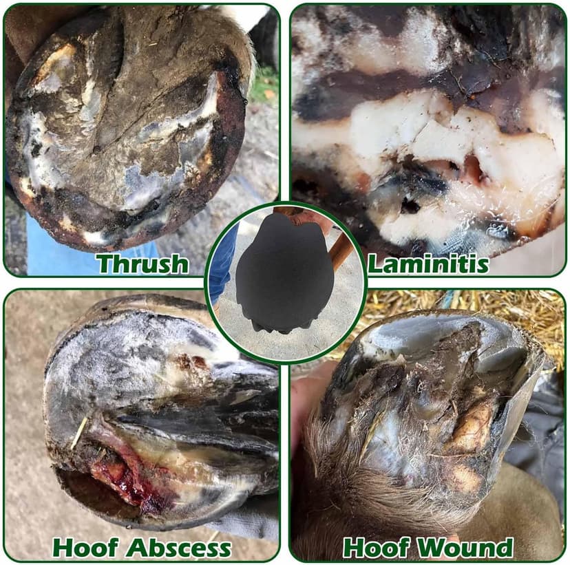 EPICHORIZON 12 Pack Horse Hoof Tape Cotton Strong Sticky Horse Hoof Wraps Simple, Breathable Hoof Packing for Hoof Wound Management and Laminitis Abscess Relief Additional Protection for Horse Hoove