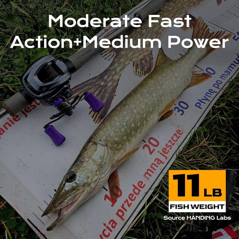 HANDING Pioneer Bass Fishing Rod Versatile Spinning & Casting Rod with Medium Power Moderate Fast Action EVA Handle for Largemouth Smallmouth Walleye