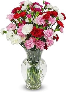 Benchmark Bouquets - 20 Stem Rainbow Mini Carnations (Glass Vase Included) - Fresh Flowers for Delivery - Gift for Birthday, Anniversary, Sympathy, Get Well, Congratulations, Thanksgiving, Christmas