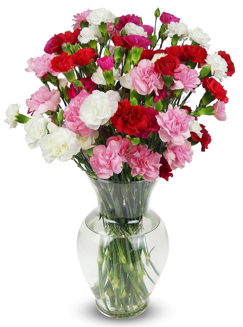 Benchmark Bouquets - 20 Stem Rainbow Mini Carnations (Glass Vase Included) - Fresh Flowers for Delivery - Gift for Birthday, Anniversary, Sympathy, Get Well, Congratulations, Thanksgiving, Christmas