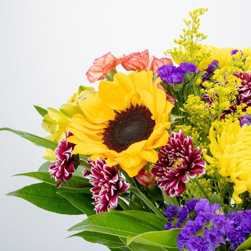 Benchmark Bouquets - Flowering Fields (Glass Vase Included) - Fresh Flowers for Delivery - Gift for Birthday, Anniversary, Sympathy, Get Well, Congratulations, Thanksgiving, Christmas