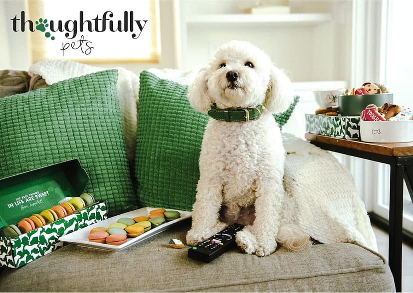 Thoughtfully Pets, Blue Dog Birthday Cookie Gift Set, Hand Decorated Crunchy Dog Treats in Bone Shapes, Great for Birthdays, Set of 8