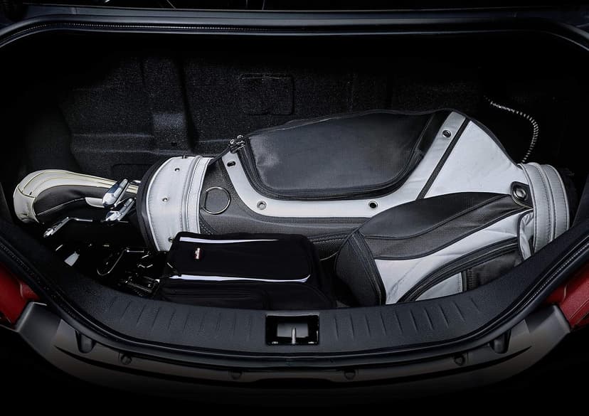 Murray Sporting Goods Golf Shoe Bag for Men and Women - Black Golf Shoe Travel Bag with Side Pockets for Golf Balls, Tees and Other Accessories