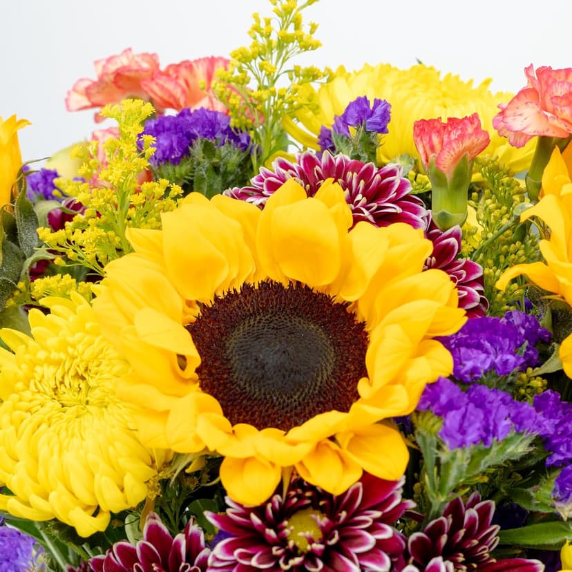 Benchmark Bouquets - Flowering Fields (Glass Vase Included) - Fresh Flowers for Delivery - Gift for Birthday, Anniversary, Sympathy, Get Well, Congratulations, Thanksgiving, Christmas