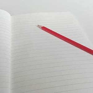 How To Live With A Small Penis: Funny Naughty Inappropriate Novelty Notebook Disguised As A Real Paperback | Adult Joke Gag Gift Prank for Him, Men, Husband, Brother