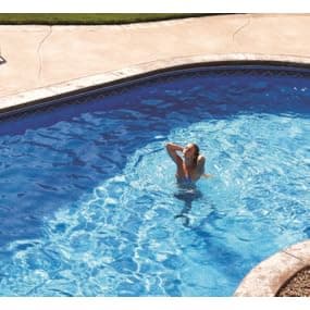 Pentair GW9500 Kreepy Krauly Great White Inground Pool Cleaner