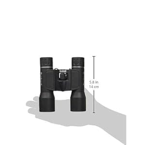 Bushnell 132516 Powerview 10x25 Compact Folding Roof Prism Binocular (Black)