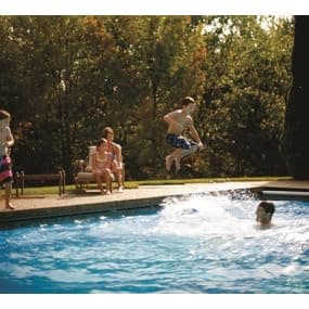 Pentair 360042 Kreepy Krauly® Suction-Side Inground Universal Pool Cleaner (Pleated Seal)