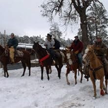 PEARSON RANCH Exotic Meats Ammo Can Gift Set Includes Elk, Buffalo and Venison Summer Sausage and 2 Blocks of Cheese, Cheese and Sausage Box (5 Items Total Inside The Ammo Can)