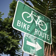 Schwalbe Marathon Wired Tyre with Greenguard Reflex