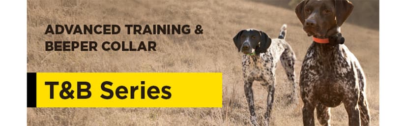 Dogtra 2700T&B Long Range 1-Mile 1-Dog Training & Beeper Remote Dog Training E-Collar for Upland Gun Dog