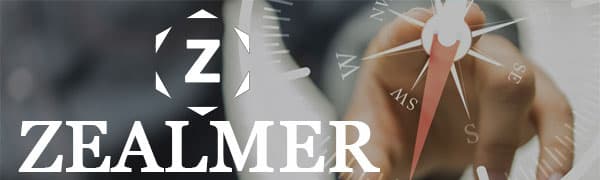 Zealmer Dainty 18K Gold Plated Compass World Map Pendant Necklace Graduation Gift for Friends