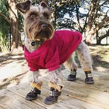 Winter Dog Boots & Paw Protectors: Outdoor Anti-Slip Dog Snow Shoes, Dog Booties Provide Warmth to Dogs Paws from Ice and Snow, Rubber Sole PU Leather Faux Fleece-Lined, Light Brown Dog Shoes Size 8