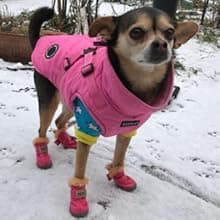 Winter Dog Boots & Paw Protectors: Outdoor Anti-Slip Dog Snow Shoes, Dog Booties Provide Warmth to Dogs Paws from Ice and Snow, Rubber Sole PU Leather Faux Fleece-Lined, Light Brown Dog Shoes Size 8