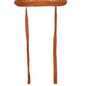 2PCS Christmas Party Toss Game Inflatable Reindeer Antler Hat with Rings for Kids Adults Family Xmas Fun Games(1 Pump,8 Rings, 2 Antlers)