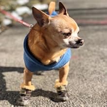 Winter Dog Boots & Paw Protectors: Outdoor Anti-Slip Dog Snow Shoes, Dog Booties Provide Warmth to Dogs Paws from Ice and Snow, Rubber Sole PU Leather Faux Fleece-Lined, Light Brown Dog Shoes Size 8