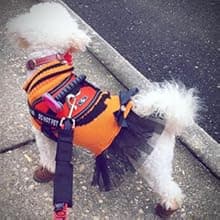 Winter Dog Boots & Paw Protectors: Outdoor Anti-Slip Dog Snow Shoes, Dog Booties Provide Warmth to Dogs Paws from Ice and Snow, Rubber Sole PU Leather Faux Fleece-Lined, Light Brown Dog Shoes Size 8