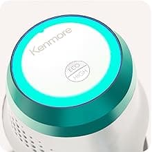 Kenmore DS4020 Cordless Stick Vacuum Lightweight Cleaner 2-Speed Power Suction LED Headlight 2-in-1 Handheld for Hardwood Floor, Carpet & Dog Hair, Green