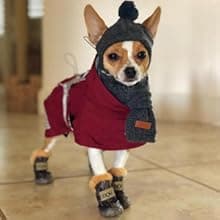 Winter Dog Boots & Paw Protectors: Outdoor Anti-Slip Dog Snow Shoes, Dog Booties Provide Warmth to Dogs Paws from Ice and Snow, Rubber Sole PU Leather Faux Fleece-Lined, Light Brown Dog Shoes Size 8