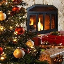 BACOENG Ash Vacuum for Pellet Stoves, 4 Gallon Ash Vac, Ash Vacuum Cleaner for Fireplaces, Wood Stove, Pellet Grill